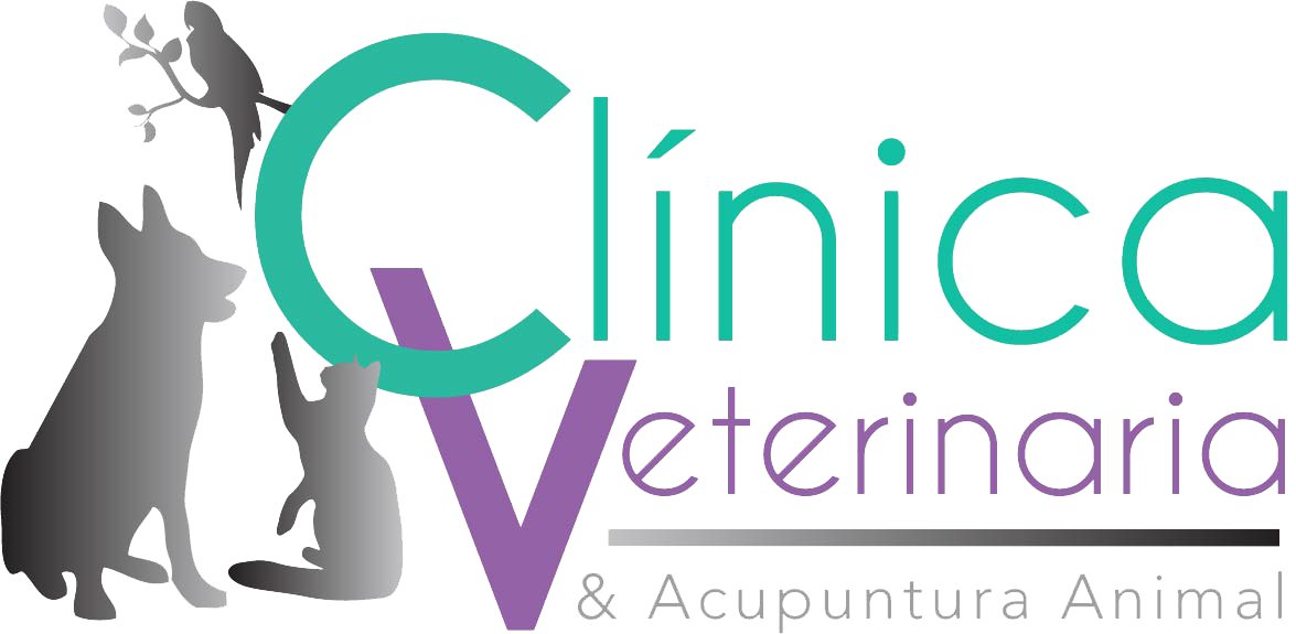 Clinica Veterinaria y Acupuntura Animal